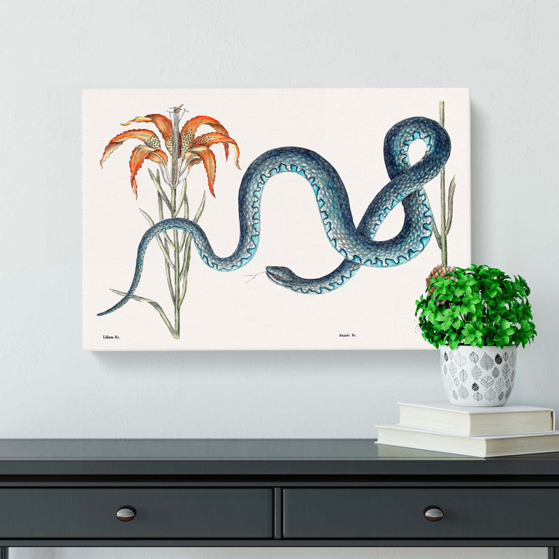 Blue Wampum Snake by Mark Catesby - Wrapped Canvas Painting, 50cm H x 76cm W x 3cm D