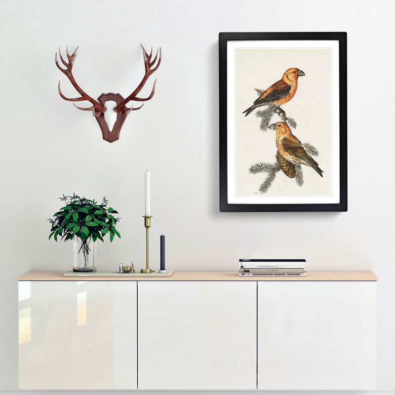 Red Crossbill Birds by Von Wright - Picture Frame Painting Print, 65cm H x 48cm W x 2cm D, Black Framed