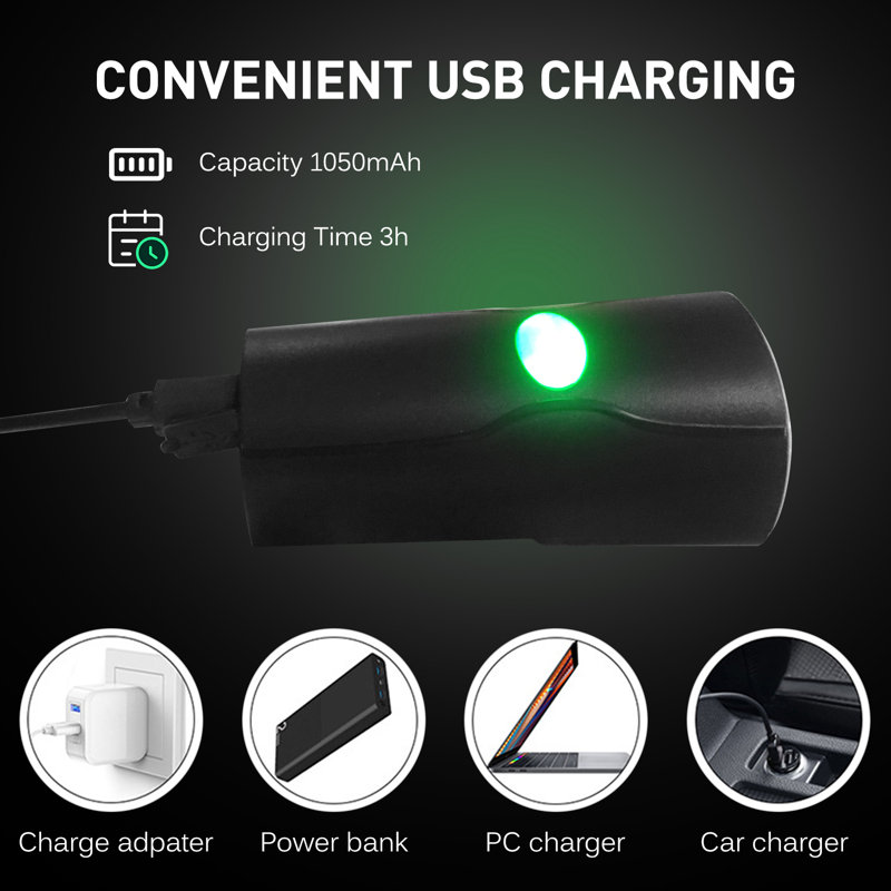 Plug-in Table Picture Light