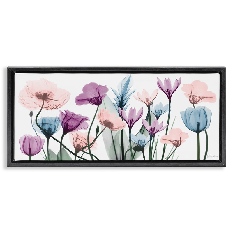 Tulipes modernes translucides pastel, H 11 po x l 25 po, Cadre flottant noir de jais