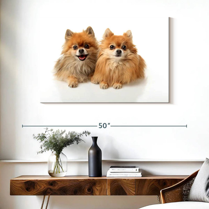 Crowle Posing Pomeranians, 26" H x 39" W