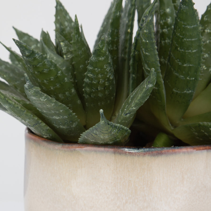 10.5'' Faux Succulent in Ceramic Pot
