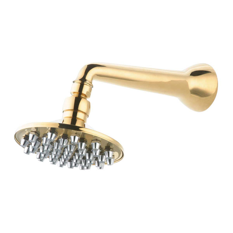 Massage/Jet Fixed Shower Head