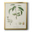Toile encadrée de qualité supérieure antique avec amande botanique I - prête à être accrochée-2104528118-2104528117
