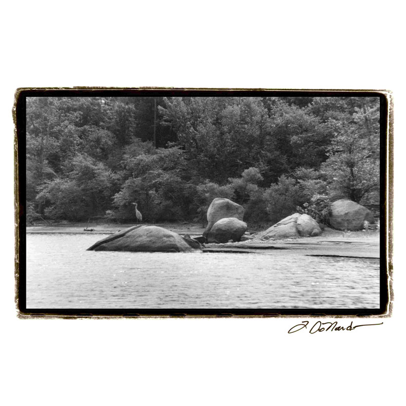 " Serene Lake II " by Laura DeNardo, 12" H x 18" W  