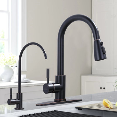 Stainless Steel Kitchen Sink Faucet, Kitchen Faucet And Water Filter Faucet Combination