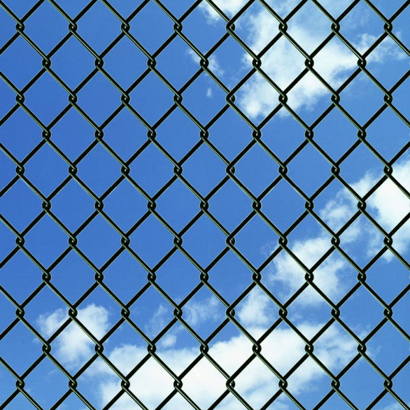 Finlay Metal Wire/Mesh Fence, Green, 100cm H x 2500cm W