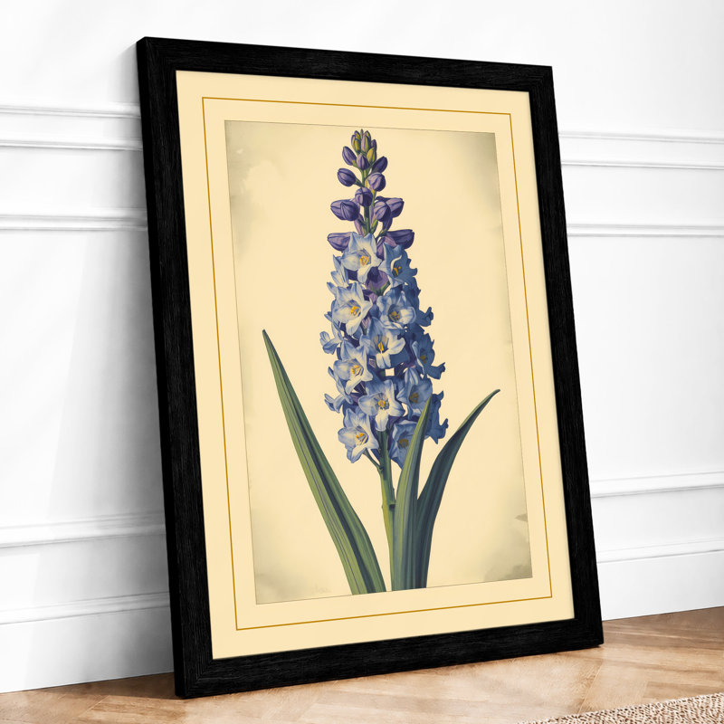 Hyacinth Study Botanical - Framed Print, A4 - 29.7 x 21.0 cm, Black