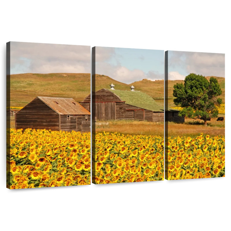 Champ de tournesols Alvord, H 36 po x l 57 po