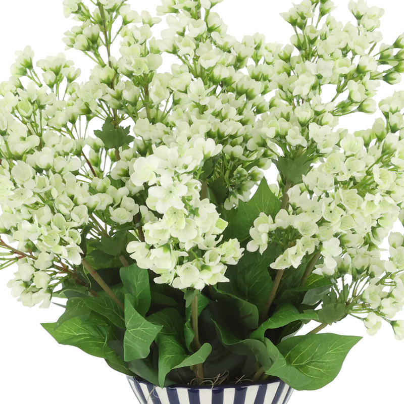 Bouvardia disposée dans un vase décoratif en céramique