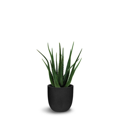 Aloès artificiel avec arbre en pot