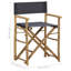 Gallatin Folding Director Chair-1523781648