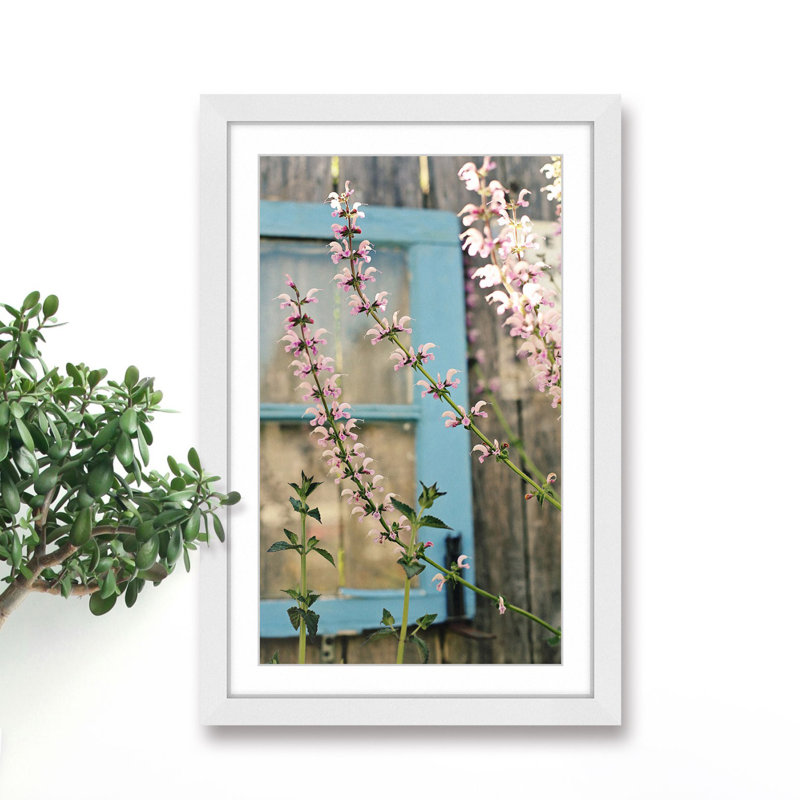 Sylvia Cook - Single Picture Frame Print, 91 cm H x 61 cm W x 3.81 cm D