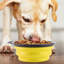 Bol pliable pour chien