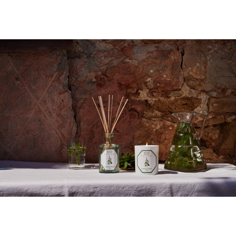 Rose Mint Diffuser, Spearmint
