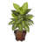Dieffenbachia Silk Plant with Wood Vase