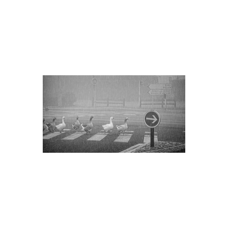 Wrapped Canvas Print, 50.8 cm H x 76.2 cm W