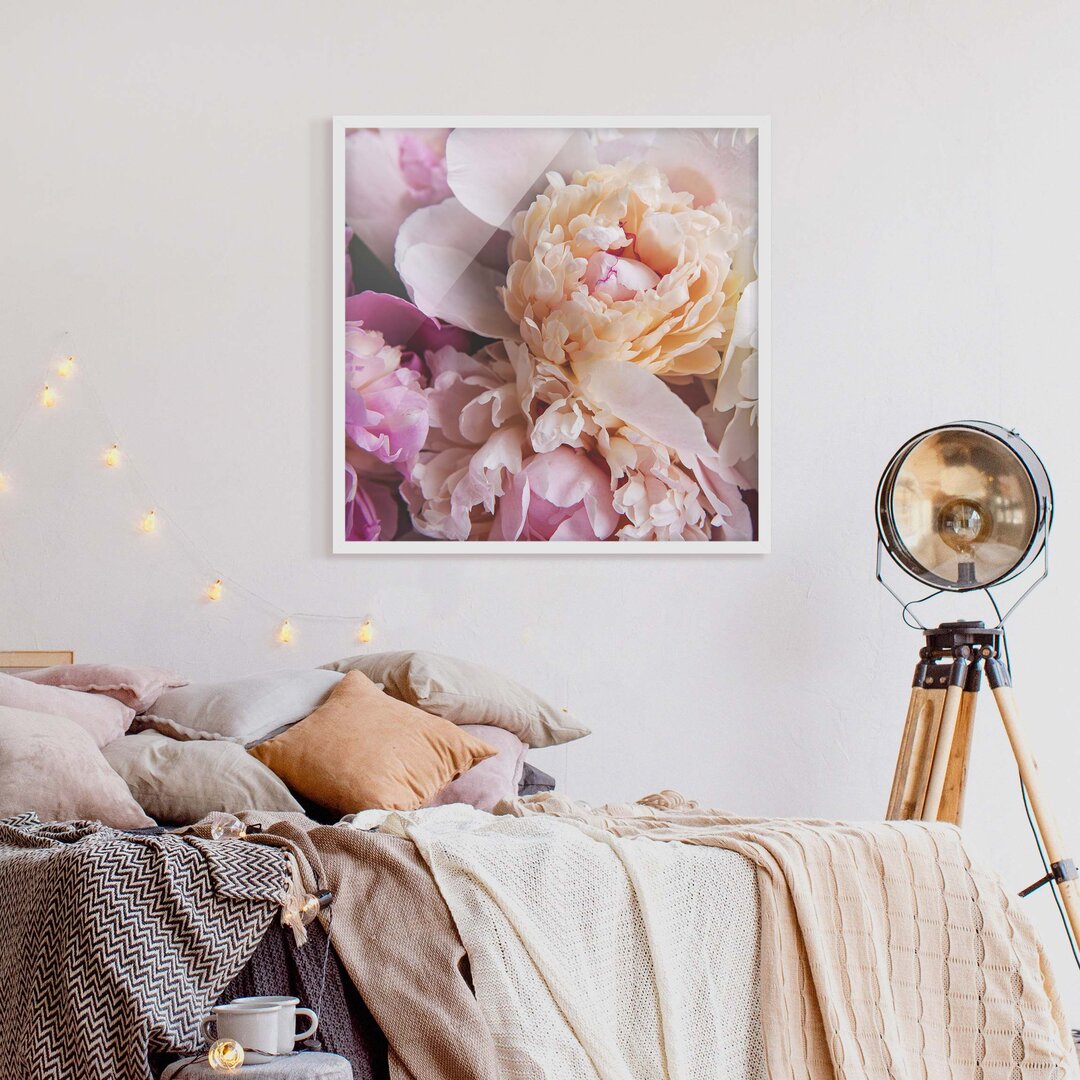 Gerahmtes Poster Flowering Peonies