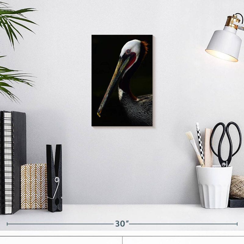Brampt Brown Pelican Portrait, 12" H x 8" W