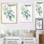 Vert, blanc, minimalisme, eucalyptus Essence III-617452865-617452878