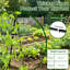 69" Tall Metal Garden Arch Trellis With Netting, Heavy-Duty A-Frame Climbing Plant Support For Cucumbers, Tomatoes, Grapes And Vines, Outdoor Vegetable & Flower Trellis For Garden, Patio, Backyard