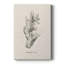 Shore Treasure Study II - galerie sur mesure-117844767