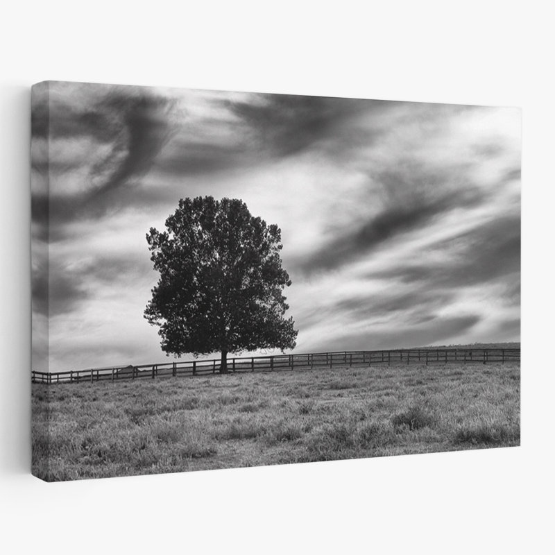 Contemporary Majestic Crop, H 24 po x l 16 po