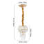 1 - Light Gold Chandelier Pendant