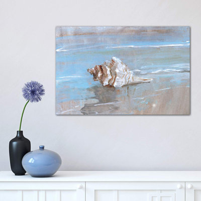 Shore Shell I by Sally Swatland - Wrapped Canvas Print