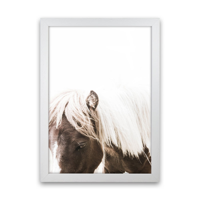 Horse III by Victoria Frost - Print, White Framed, 46cm H x 34cm W x 3cm D