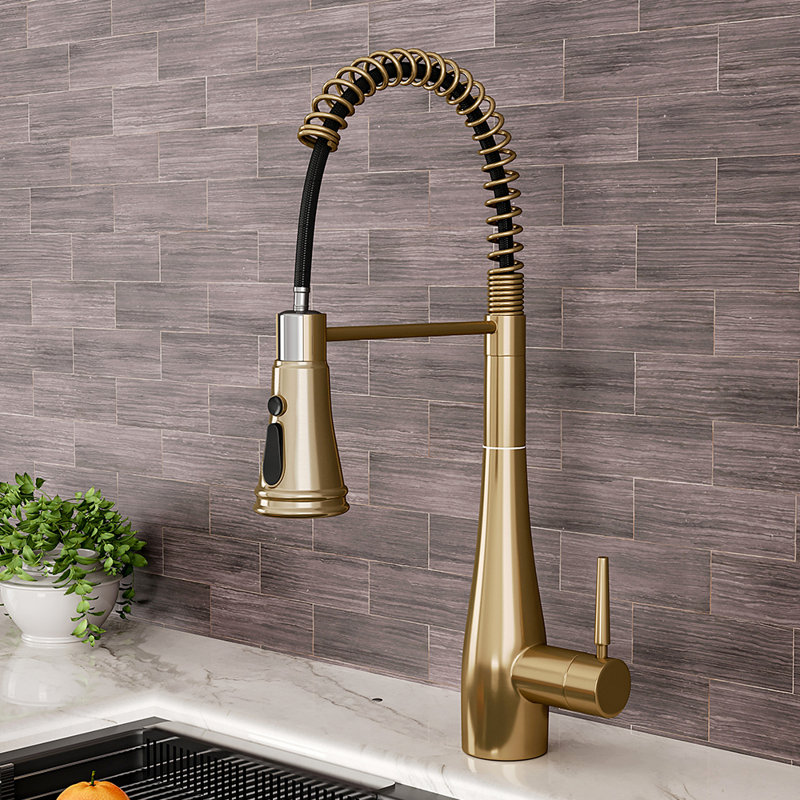 Belfry Kitchen Carmorn Pull Out Kitchen Faucet, Gold