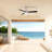 Donaire 52'' Ceiling Fan with LED Lights-315693487-297934720