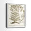 «Sepia Botanical Journal I», reproduction encadrée de qualité supérieure - prête à être accrochée - aucun clou requis - aucun clou requis-1343837967-1343837973