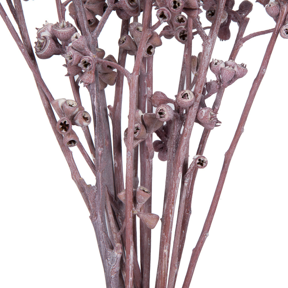 13'' Branch, Erika Pink