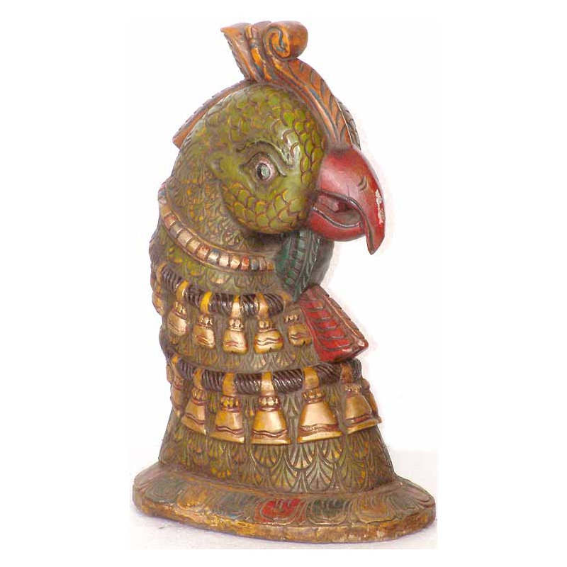 Tête de perroquet
