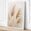 Delicate Pampas Plumes Botanical - Wrapped Canvas-2110854429-2110854402