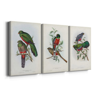 Gould Tropical Birds I  -Custom Wrapped Gallery Canvas - 3 Pieces