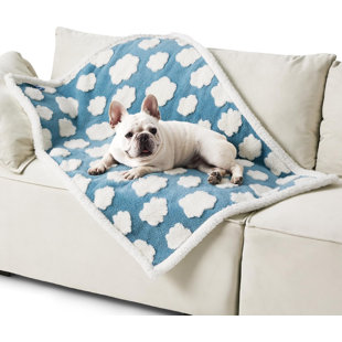 Couverture pour chien et chat Lesure
