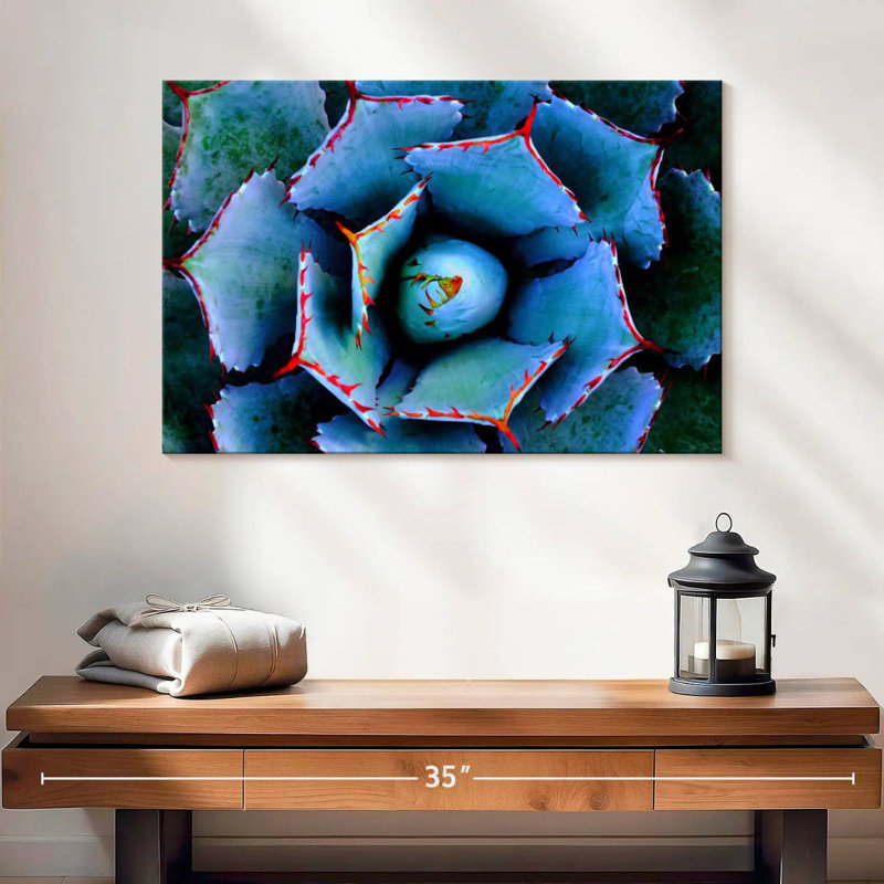 Harnek Red Lined Succulent, 16" H x 24" W