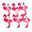 Flamingo 10 Light String Lights
