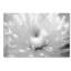 « Infrared Flower 2 », épreuve photographique sur toile tendue-31106001
