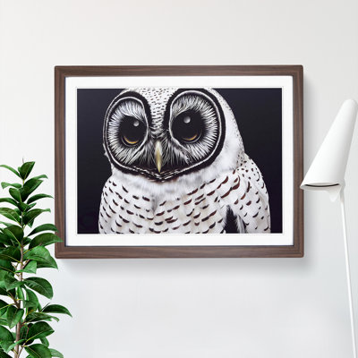 XH1022-8647X Superb Owl - Single Picture Frame Painting