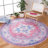 Serapi Performance Machine Washable Oriental Rug-2039840991