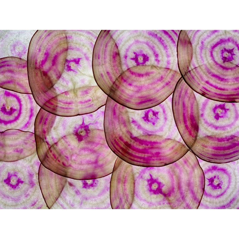 Beet Slices Print by Harold Davis, Black Framed Canvas, 25" H x 33" W