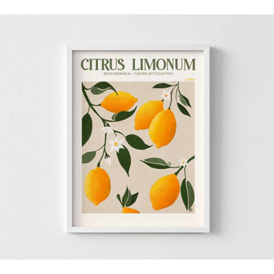 Citron limonum - reproduction d'art botanique rétro citron