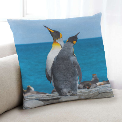 Throw Pillow