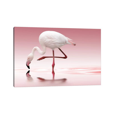 Flamingo by Doris Reindl - Wrapped Canvas Print