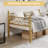 Twin Size Gold Daybed with Trundle Bed,  Metal