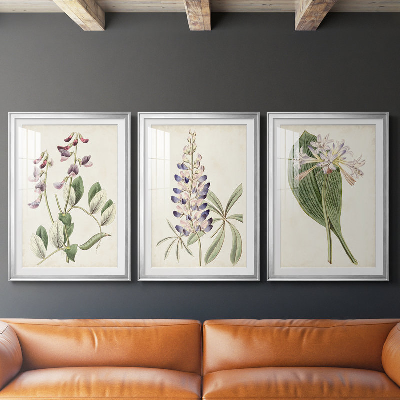 Antique Botanical Collection I - Impression personnalisée de qualité supérieure avec cadre mat - 3 pièces, Argent argent