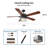 Gizell 52'' Ceiling Fan with Light Kit